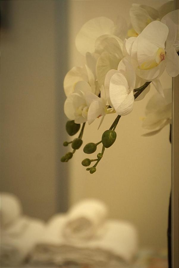 Apartamento Paula Valladolid Bagian luar foto