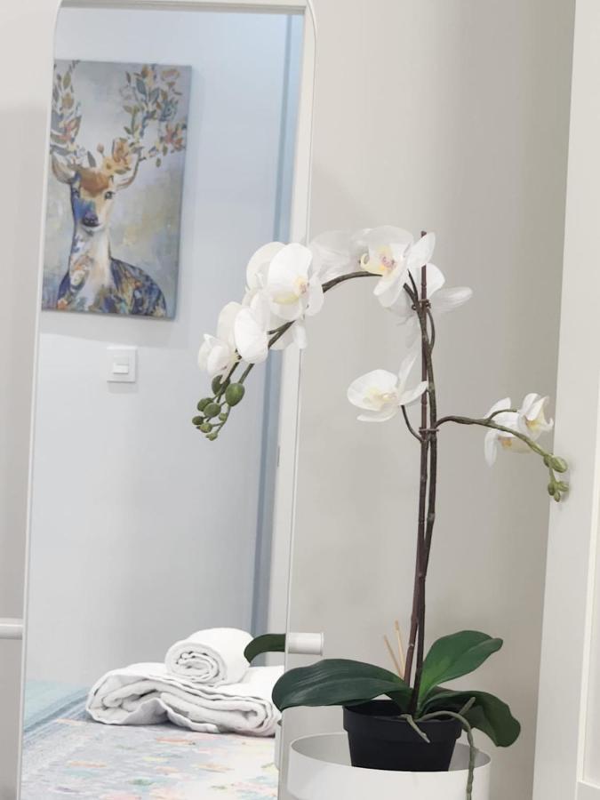 Apartamento Paula Valladolid Bagian luar foto