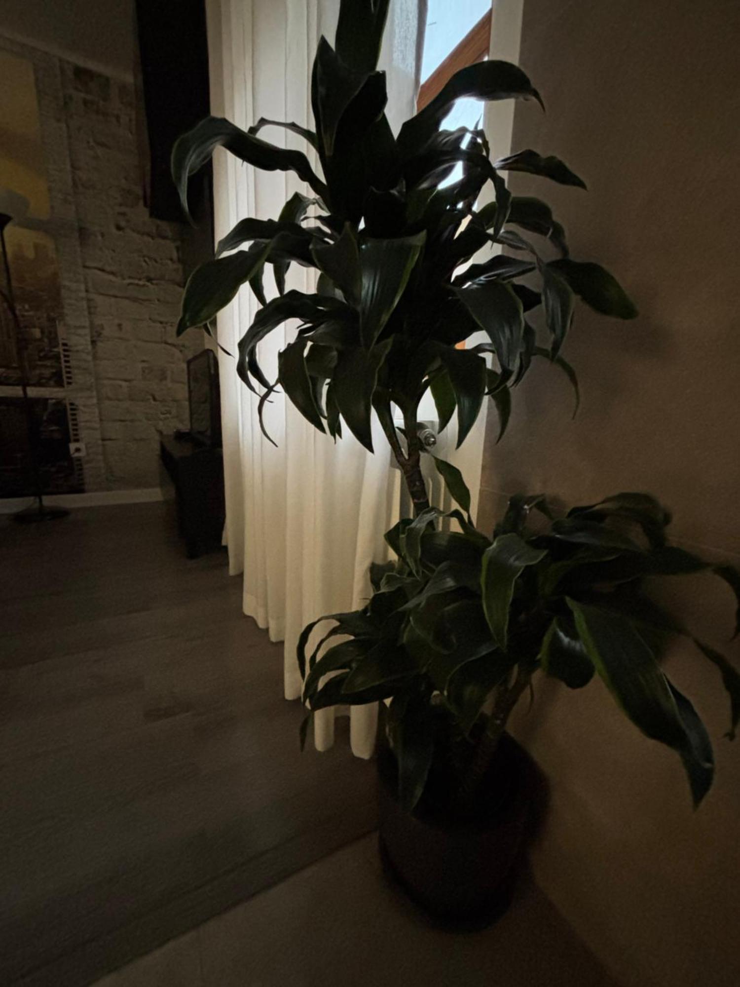 Apartamento Paula Valladolid Bagian luar foto